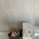 돼일리푸드