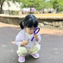 마전 제1호공원 이미지