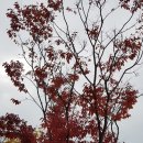 둘레길가든 이미지