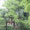 고무정 | 진안 주홀헌(柱笏軒)