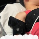 여대생 | 양재역마운자로 vs. 쥬비스삼성점 20대 여대생 솔직후기!!