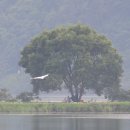 능내1리 이미지