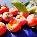 위형수농장 이미지