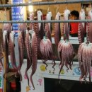 문어이야기 이미지