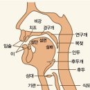 자음모음스피치
