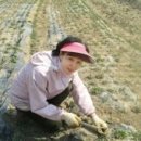 미래농산 이미지