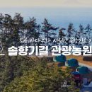 솔향기길야영장 이미지