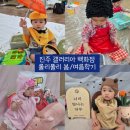 (주)폴리 | 진주 갤러리아 문화센터 롤리폴리 봄/여름학기 후기 신청방법