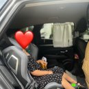 카플러스 별내점 | [내돈내산] 레카로 액시언 구매후기