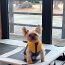 언더아멍 이미지