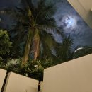 베트남의 밤~♡(2025.9.5.) 이미지