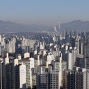 강남-291 이미지