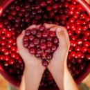 밀라노짐PT 이미지