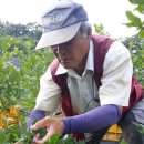 순곤농장 이미지