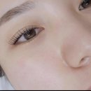 더하다 속눈썹 네이버블로그