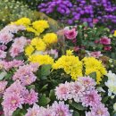 의성공설재래시장 이미지