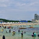 송지호 해수욕장 이미지