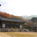 공주-02 티스토리