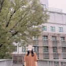 아임 크레페? 이미지