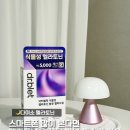닥터허브킴 | 다이소 멜라토닌 2mg 닥터블릿 멜라드림으로 하루의 마무리