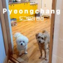 도그밀리 이미지