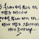 감성 수채화 캘리그라피 이미지