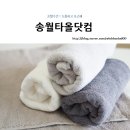 송월타올닷컴