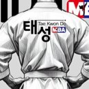 태성태권도 이미지