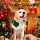 아르떼몽 이미지