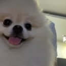 재워니스포츠
