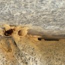 금성초병설유치원 이미지