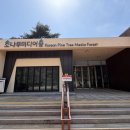 아트숲 | 속리산테마파크 소나무미디어숲 미디어아트와 앵무새 식물원 후기