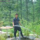 홍동초등학교 이미지