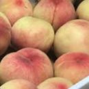 선옥농장 이미지