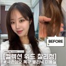 [청담 미용실 추천] 컬렉션 위드 찰리정, 극손상모 클리닉 맛집에서 받고 온 후기