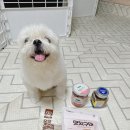 하얀개마을 이미지