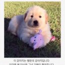 없음 이미지