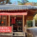 바람불어 좋은날 이미지