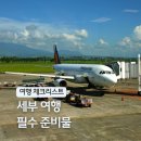 필리핀 세부 여행 준비 : 이트래블 서류 이심 날씨 공항 입국 준비물 추천