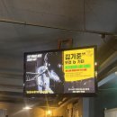 김기준 | 대구 분위기 좋은 수성못술집 추천｜더프라하노트뮤직카페