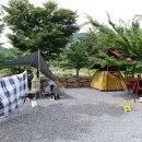 초록슈피아 이미지