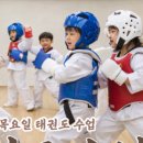 153태권도장 네이버블로그