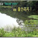 9월15일 '정도낚' 정출공고 및 접수! 이미지