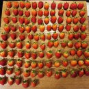 한울타리 | 논산 딸기직판장, 새콤달콤 딸기 - '한울타리' 방문 구매 후기