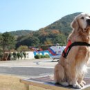 천둥산업