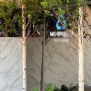 서홍동주민센터 이미지