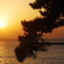 동백섬의 일출 이미지