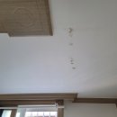 김해축산농협외동서부지점 이미지