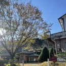 흙내음한옥펜션 | 안성 솔향기흙내음펜션 촌캉스펜션 솔직후기