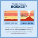 에브리바디스킨